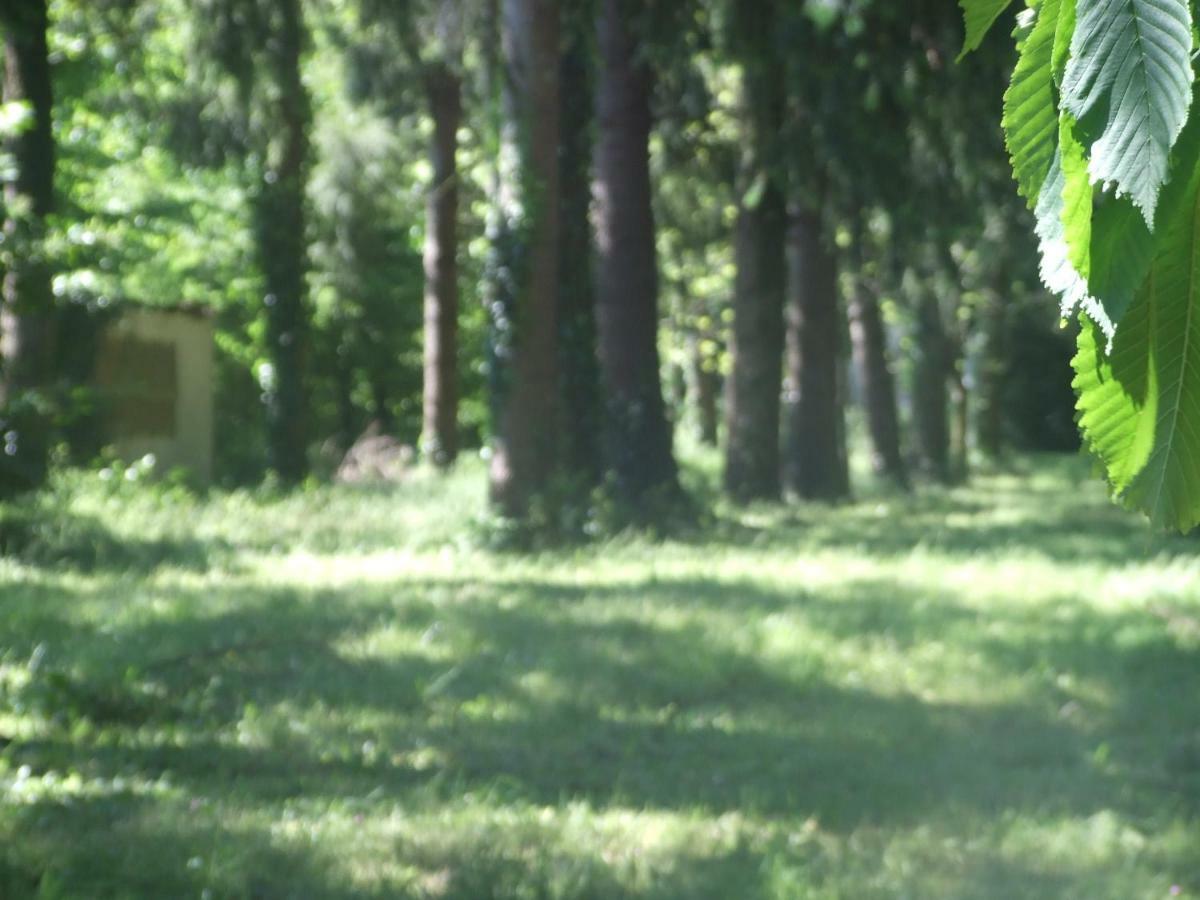 L'Auberge De La Foret Mervent エクステリア 写真